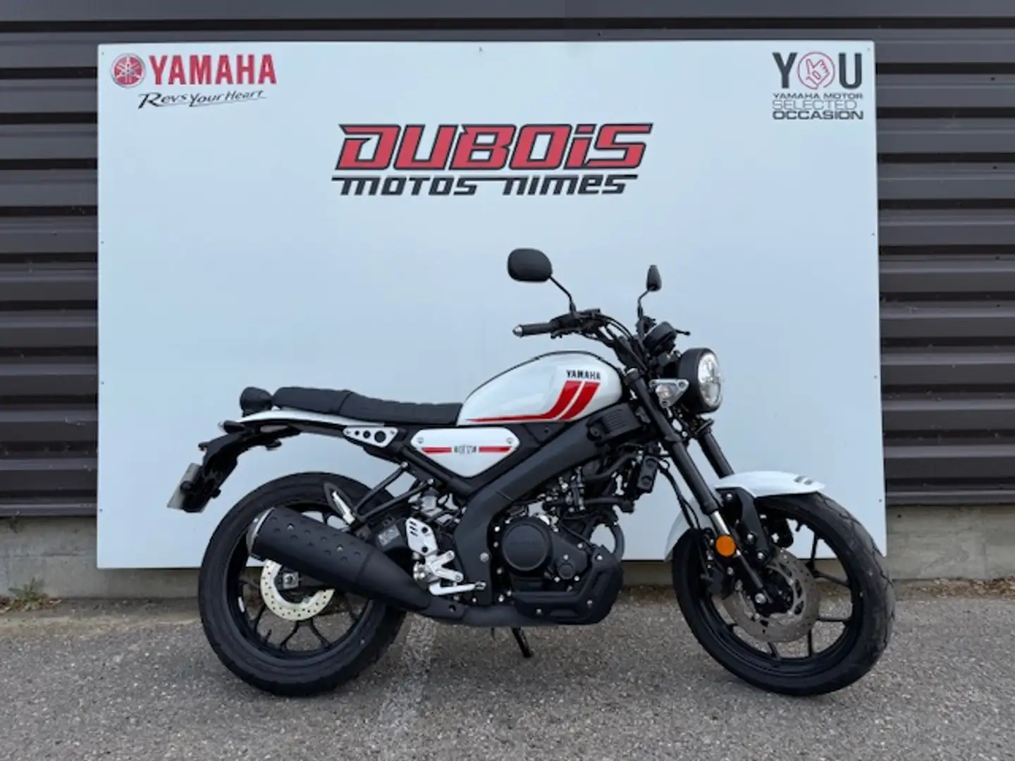 Yamaha XSR 125 Alb - 1