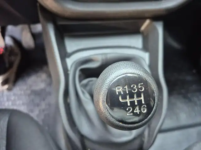 Fiat Doblo view 11