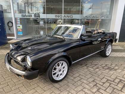 Fiat Spider Spider!