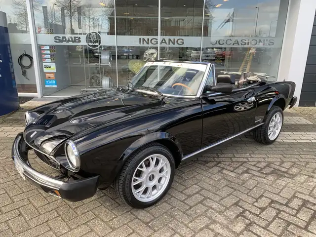 Fiat Spider Spider!