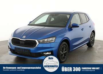 1.0 TSI 130 Jahre, LED, Kamera, Winter, Sunset, 15