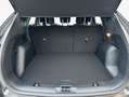 Ford Kuga 1.5 EcoBoost ST-LINE Grau - thumbnail 5