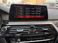 BMW 530 LUXURY / TETTO PANORAMICO Grau - thumbnail 15