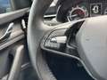 Skoda Kamiq Clever 1.0 TGI G-TEC LED - RFK - SHZ - Klima Blau - thumbnail 19