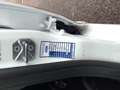 Ford Focus 5p 1.5 tdci ST-Line s&s 120cv Bianco - thumbnail 8