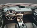 Mercedes-Benz SLK 250 d Aut. Grijs - thumbnail 29