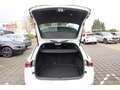Skoda Octavia IV Combi 2.0 TDI DSG Sportline Blanc - thumbnail 14