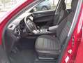 Alfa Romeo Stelvio *PROMO* 2.2 Turbodiesel 160 CV AT8 Rosso Edizione Rouge - thumbnail 11