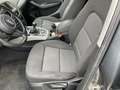 Audi Q5 2.0 tdi Business quattro 177cv - thumbnail 4