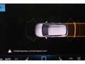 Volkswagen Golf VIII 1.5 TSI App*SHZ*ACC * Blau - thumbnail 20