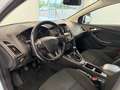 Ford Focus Lim. 1.5 TDCi Business *NAVI*GUTER ZUSTAND Weiß - thumbnail 10