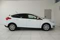 Ford Focus Lim. 1.5 TDCi Business *NAVI*GUTER ZUSTAND Weiß - thumbnail 5