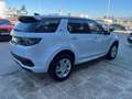 Land Rover Discovery Sport 2.0D TD4 MHEV R-Dynamic S AWD Auto 163 Blanco - thumbnail 5