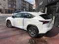 Lexus NX 300 300h Eco 2WD - thumbnail 5