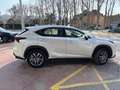 Lexus NX 300 300h Eco 2WD - thumbnail 8