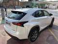 Lexus NX 300 300h Eco 2WD - thumbnail 7