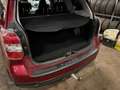 Subaru Forester 2,0D Exclusive EXTRAS*AHK*M+S! Rouge - thumbnail 9