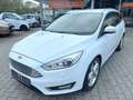 Ford Focus Turnier Titanium Sport Lerder Navi AHK Xen Blanc - thumbnail 7