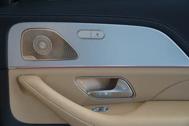 Mercedes-Benz Gle view 19