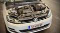 Volkswagen Golf Variant 1.4 TSI BlueMotion Technology Highline Weiß - thumbnail 10