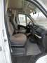 Fiat Ducato / Bürstner Lyseo A660 Weiß - thumbnail 9