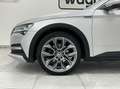 Skoda Superb Kombi 2,0 TDI 4x4 Scout DSG.Matrix LED/ACC/Navi... Silber - thumbnail 5