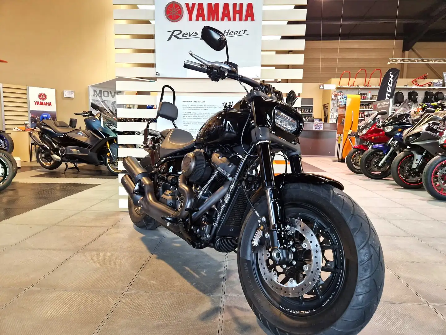 Harley-Davidson Softail - 1