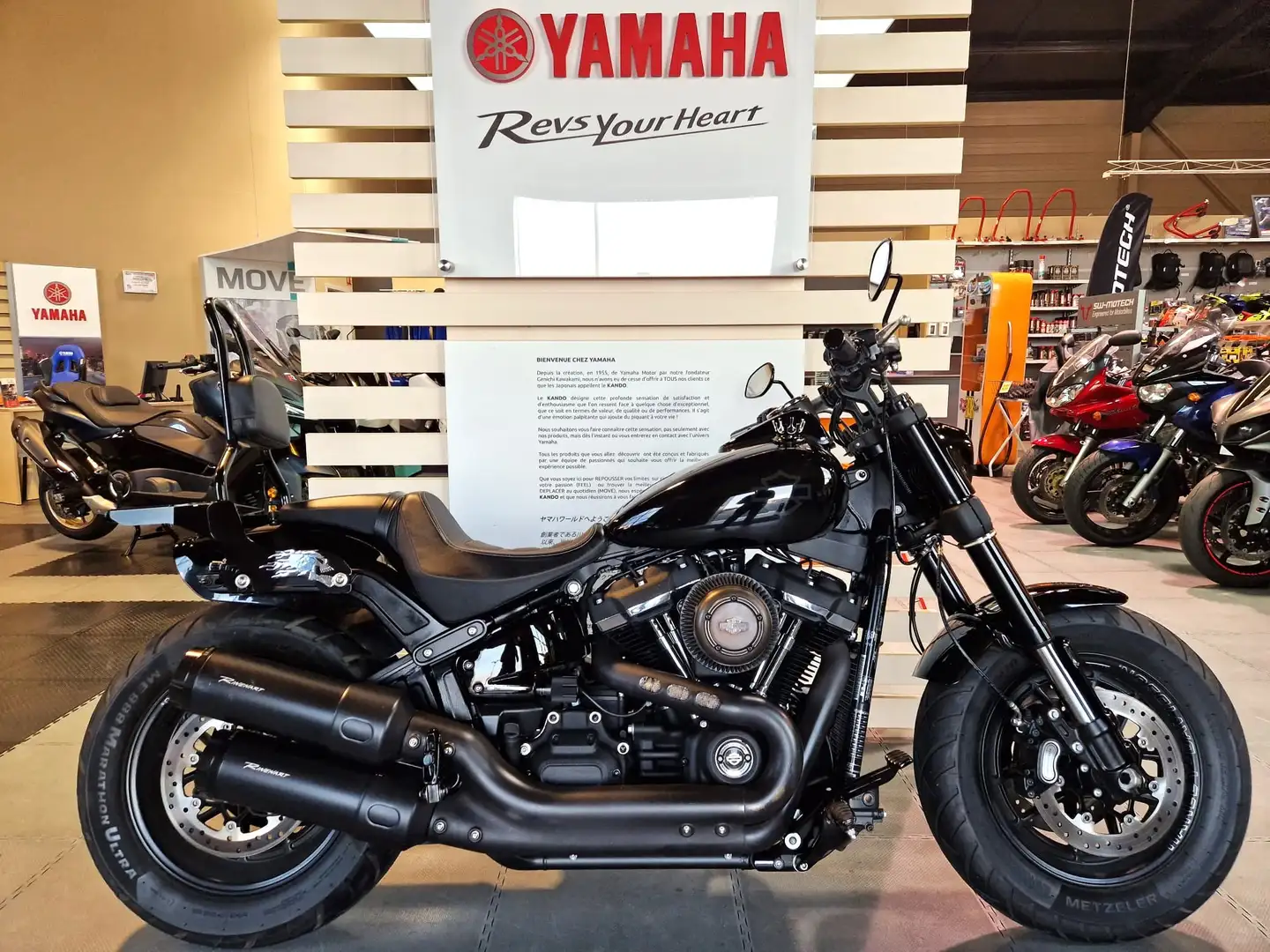 Harley-Davidson Softail - 2