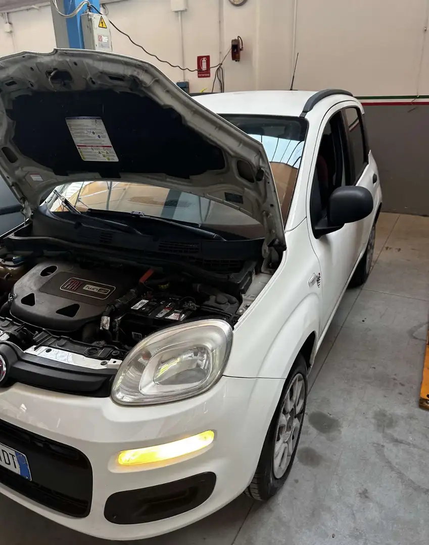 Fiat Panda 0.9 t.air turbo Easy 85cv - 1