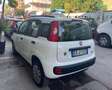 Fiat Panda 0.9 t.air turbo Easy 85cv - thumbnail 5