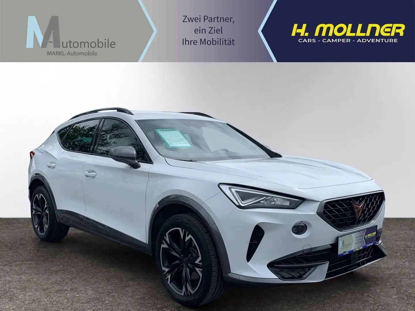 CUPRA Formentor Wit - 1