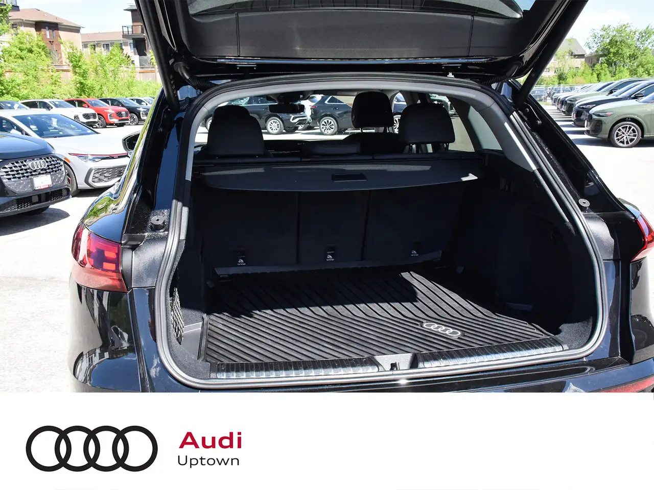 Audi Q5 fotografie Audi Q5