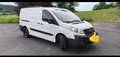 Fiat Scudo Scudo Kombi Standard L2H1 2,0 16V Standard Weiß - thumbnail 3