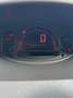 Renault Modus 1,2 Authentique/Zahnriemen-Neu/Inspektion/1.Hand - thumbnail 10