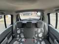Renault Modus 1,2 Authentique/Zahnriemen-Neu/Inspektion/1.Hand - thumbnail 15