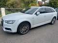 Audi A4 allroad A4 allroad quattro 45 TFSI S tronic Weiß - thumbnail 2