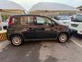 Fiat Panda 1.0 FireFly S&S Hybrid+GPL Nero - thumbnail 5