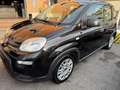 Fiat Panda 1.0 FireFly S&S Hybrid+GPL Nero - thumbnail 2