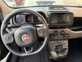 Fiat Panda 1.0 FireFly S&S Hybrid+GPL Nero - thumbnail 7