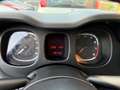 Fiat Panda 1.0 FireFly S&S Hybrid+GPL Nero - thumbnail 8