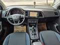 SEAT Ateca Style Grau - thumbnail 15
