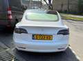 Tesla Model 3 Model 3 Stnd.RWD Plus 60 kWh Wit - thumbnail 15