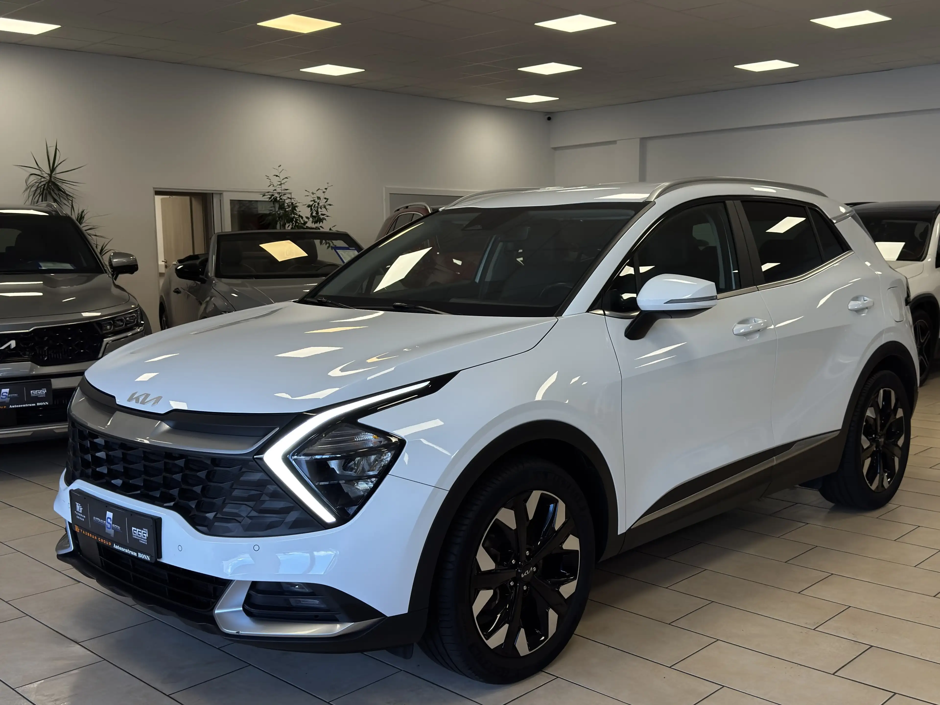 Kia Sportage 4WD Plug-in Leder R.Cam Navi ACC BI-LED