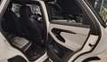 Land Rover Range Rover Evoque Range Rover Evoque 5p 2.2 td4 Launch edition 150cv Blanc - thumbnail 20