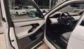 Land Rover Range Rover Evoque Range Rover Evoque 5p 2.2 td4 Launch edition 150cv Blanc - thumbnail 15