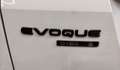 Land Rover Range Rover Evoque Range Rover Evoque 5p 2.2 td4 Launch edition 150cv Blanc - thumbnail 11