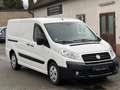Fiat Scudo Multijet*Kühltransporter*AHK*Euro5*TÜV Weiß - thumbnail 2