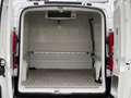 Fiat Scudo Multijet*Kühltransporter*AHK*Euro5*TÜV Weiß - thumbnail 12