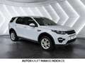 Land Rover Discovery Sport 2.0 D150 4x4 NAVI SHZ PDC R-KAM Weiß - thumbnail 7