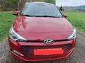 Hyundai i20 i20 1,25 Edition 25 Edition 25 Rot - thumbnail 4